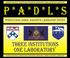 Lab Logo